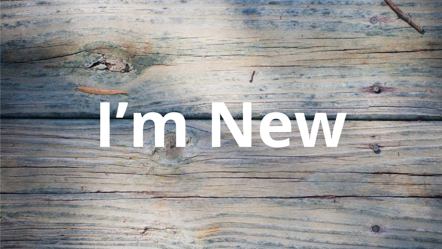 I'm New — rustic wooden planks